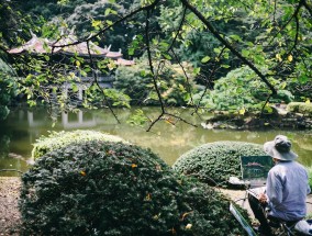 辽宁立体垂直绿化花卉基地，打造绿色生态新篇章辽宁花卉种植基地